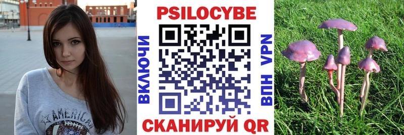 Псилоцибиновые грибы MAGIC MUSHROOMS  закладки  Полысаево 